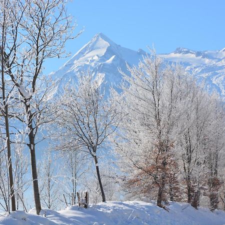 Apartment Mountain Panorama By Z-K-H Rentals Zell am See Extérieur photo